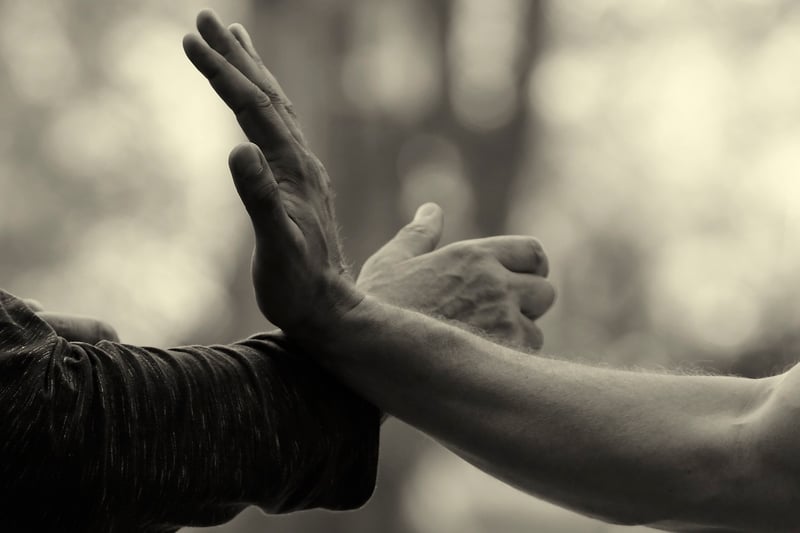 Tai Chi Sessions
